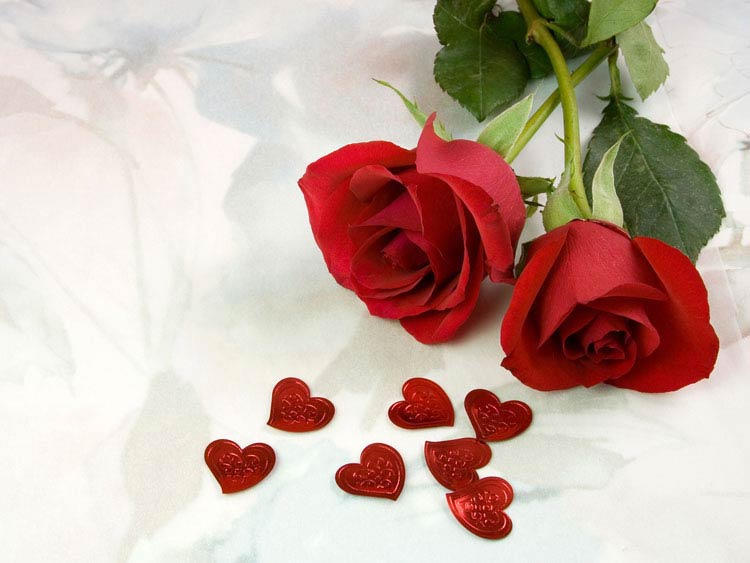 AMORE IMMAGINE ROSE